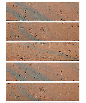 2022.5.16_10.33.12_8517