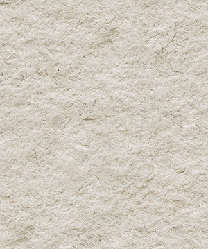 2024.1.25_8.49.35_7119