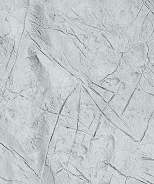 2025.4.12_17.46.47_2242