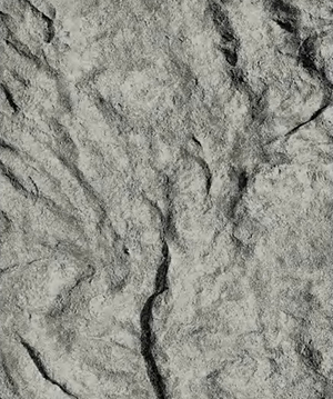 2025.4.12_17.52.41_9515