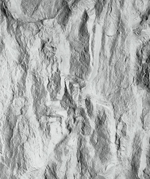 2025.4.14_16.50.30_8907